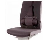 Ergonomick oprka zad Fellowes Professional Series