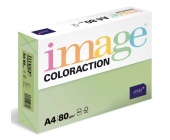 Papr Coloraction A4, 80 g, pastelov zelen/Forest, 500 list