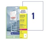 Antimikrobiln etikety Avery L8001-10, 210x297 mm, 10 list