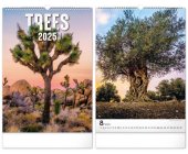 Nstnn kalend, Trees 2025