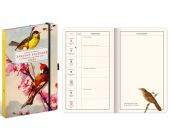 Diář Zábavný Kateřiny Winterové, týdenní, A5 s gumičkou 2026